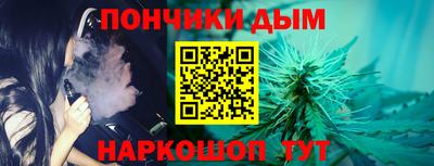 шишки Будённовск