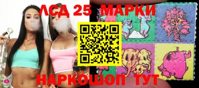 шишки Будённовск