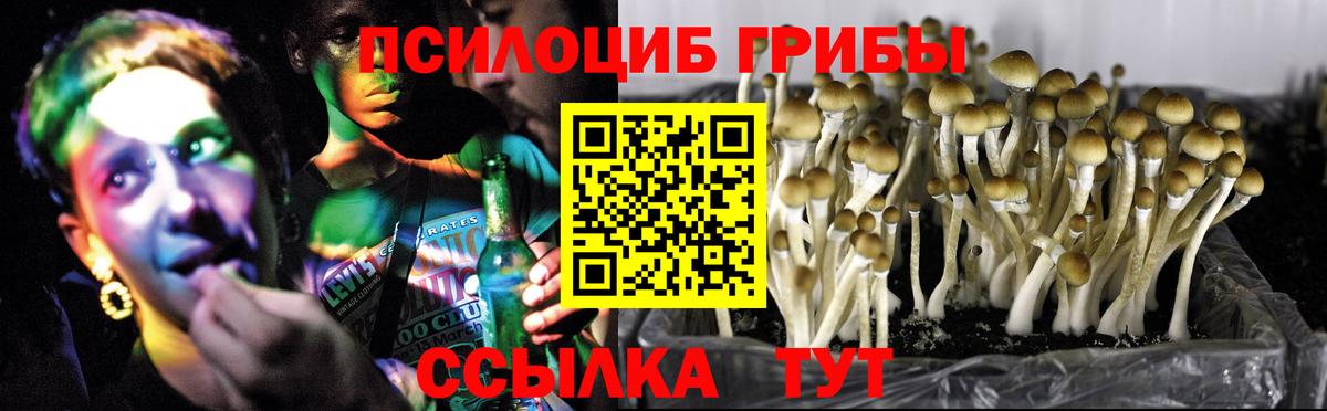 Сургут  Псилоцибиновые грибы Cubensis  Вход с VPN  Галлюциногенные грибы MAGIC MUSHROOMS 
